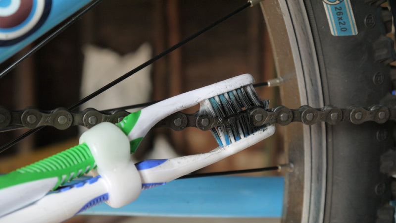 Bike Chain Brush